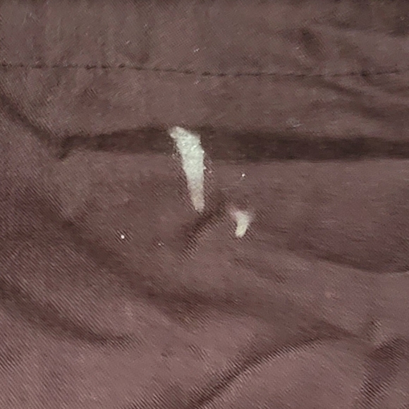 Authentic Coach Handbag - Picture 7 of 7